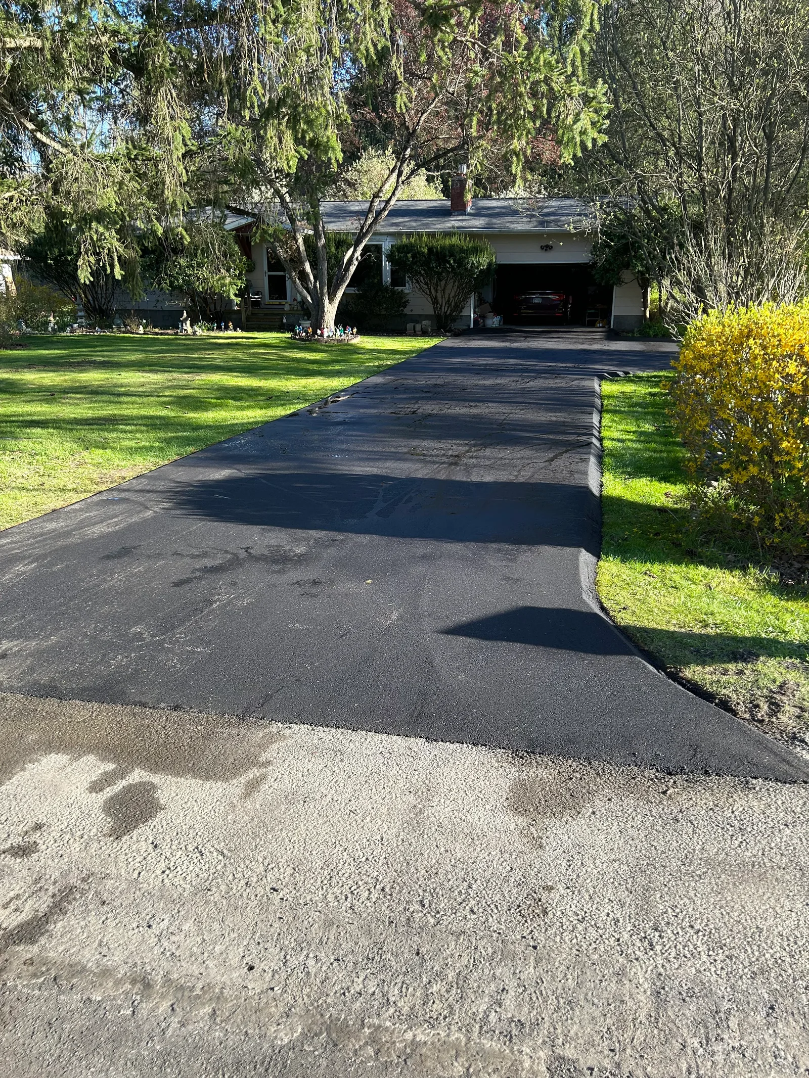 Newly paved asphalt driveway with dark finish and clean edges adjacent to concrete apron